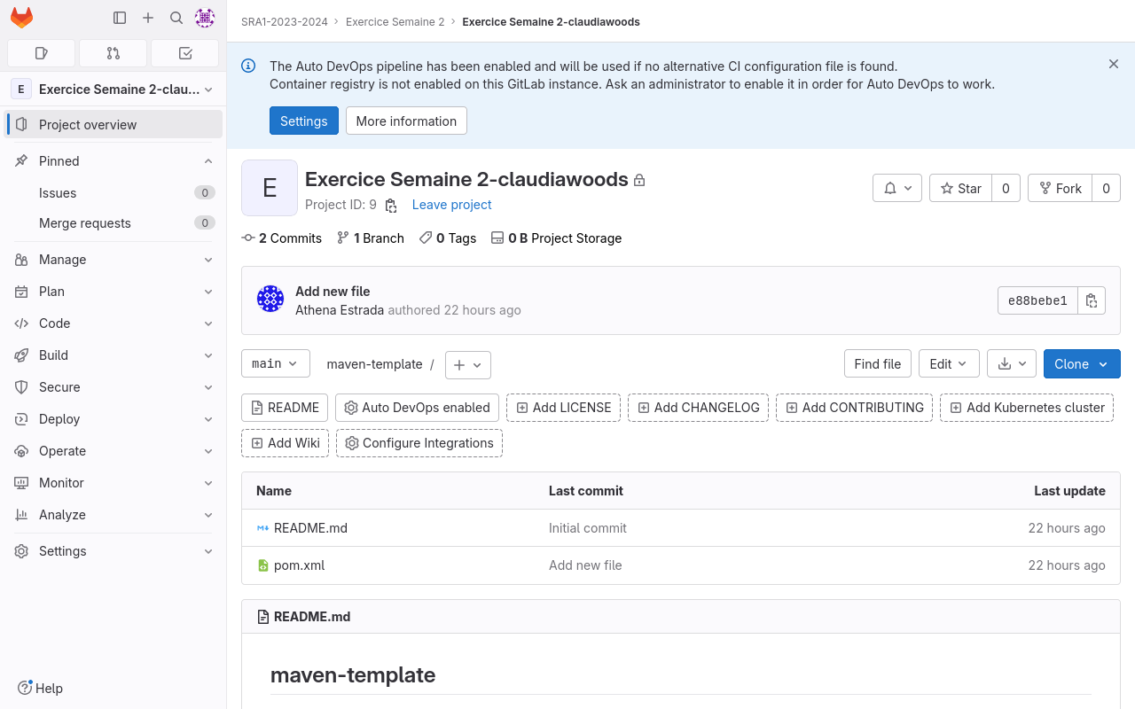 Exercise Assignment GitLab project, loaded with a code template